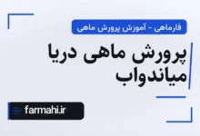 پرورش ماهی دریا میاندواب