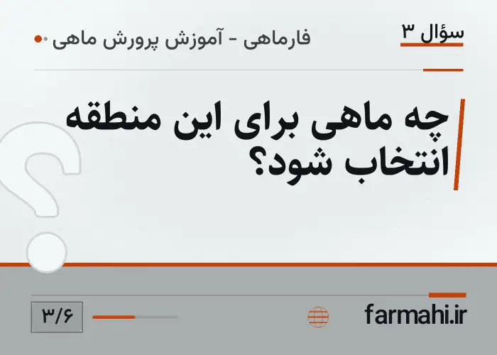چه ماهی برای این منطقه انتخاب شود؟
