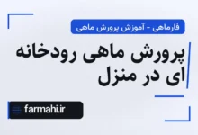 پرورش ماهی رودخانه ای در منزل