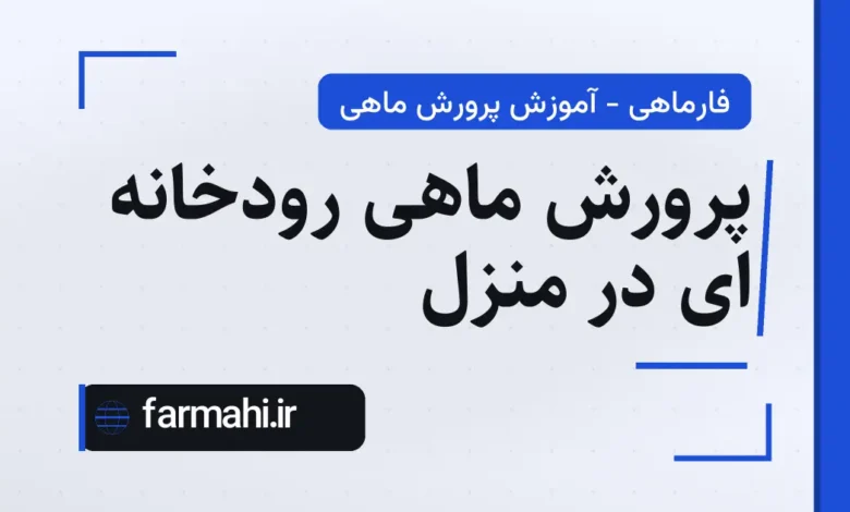 پرورش ماهی رودخانه ای در منزل