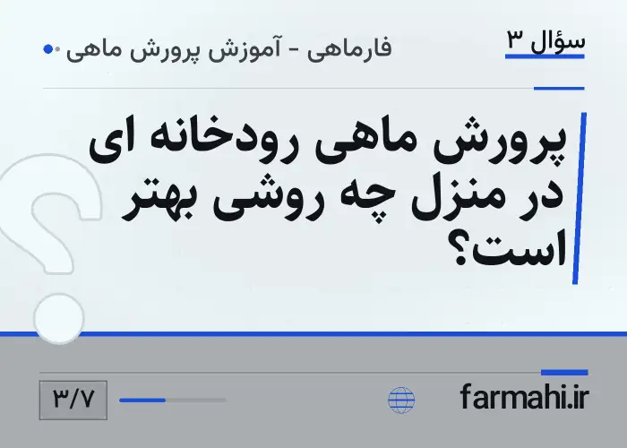 پرورش ماهی رودخانه ای در منزل چه روشی بهتر است؟