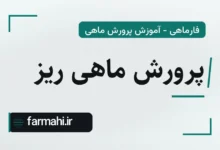 پرورش ماهی ریز