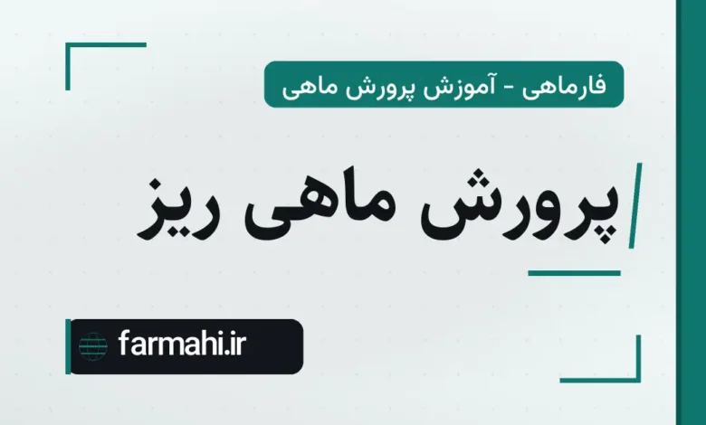 پرورش ماهی ریز