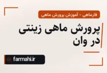 پرورش ماهی زینتی در وان
