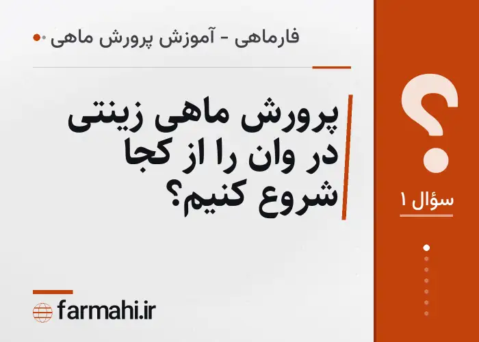 پرورش ماهی زینتی در وان را از کجا شروع کنیم؟