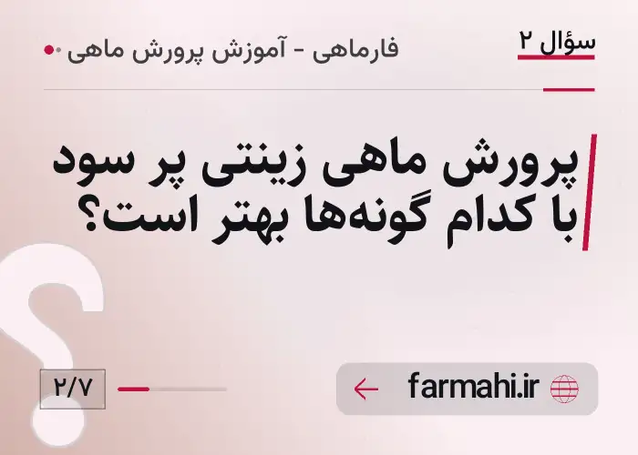 پرورش ماهی زینتی پر سود با کدام گونه‌ها بهتر است؟