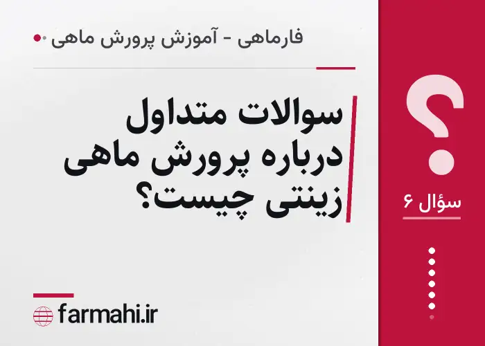 سوالات متداول درباره پرورش ماهی زینتی چیست؟