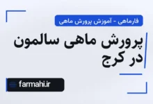 پرورش ماهی سالمون در کرج
