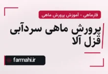 پرورش ماهی سردآبی قزل آلا