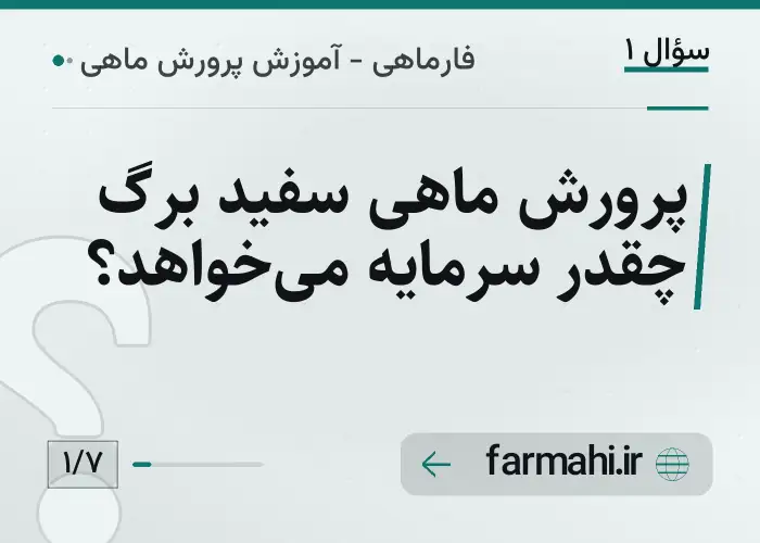 پرورش ماهی سفید برگ چقدر سرمایه می‌خواهد؟