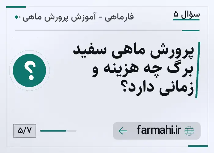 پرورش ماهی سفید برگ چه هزینه و زمانی دارد؟