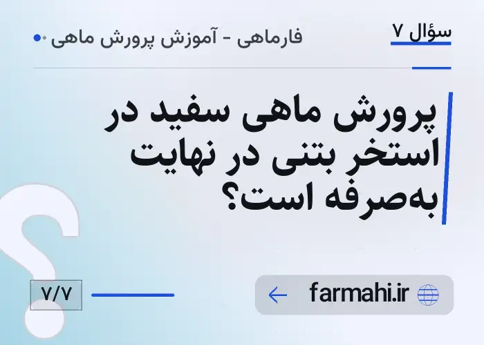 پرورش ماهی سفید در استخر بتنی در نهایت به‌صرفه است؟
