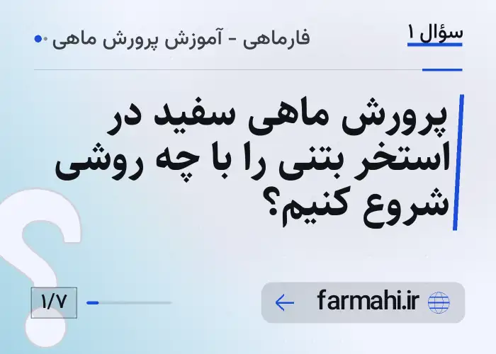 پرورش ماهی سفید در استخر بتنی را با چه روشی شروع کنیم؟