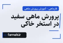 پرورش ماهی سفید در استخر خاکی