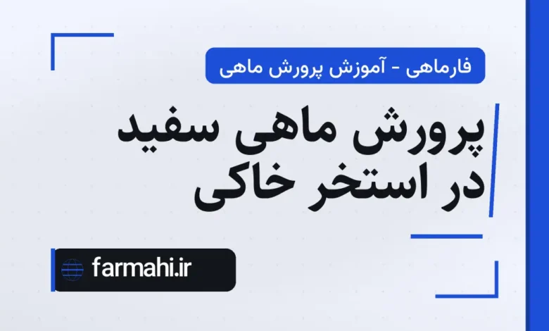 پرورش ماهی سفید در استخر خاکی