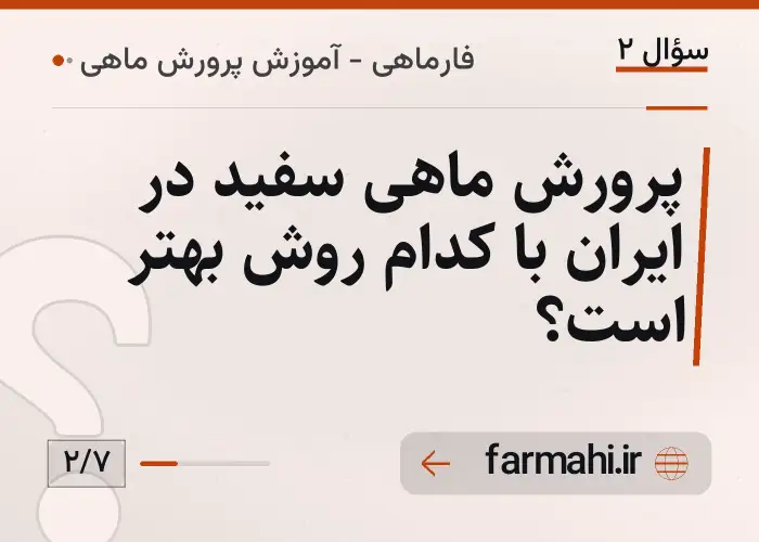 پرورش ماهی سفید در ایران با کدام روش بهتر است؟