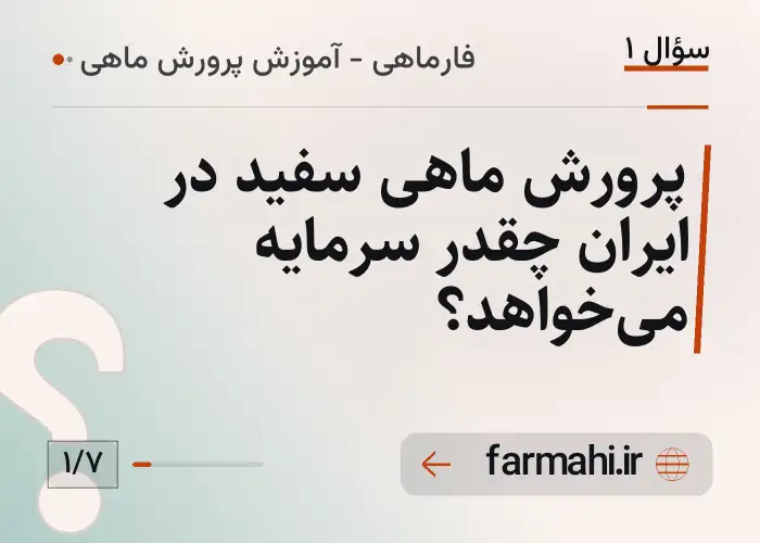 پرورش ماهی سفید در ایران چقدر سرمایه می‌خواهد؟
