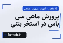 پرورش ماهی سی باس در استخر بتنی