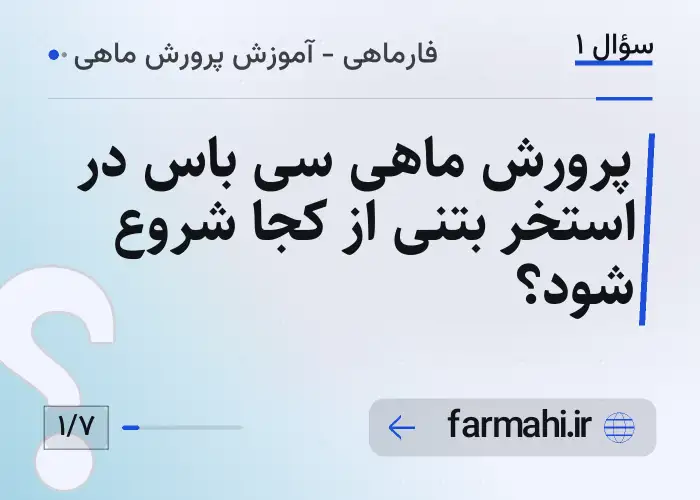 پرورش ماهی سی باس در استخر بتنی از کجا شروع شود؟