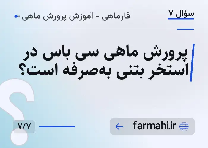 پرورش ماهی سی باس در استخر بتنی به‌صرفه است؟