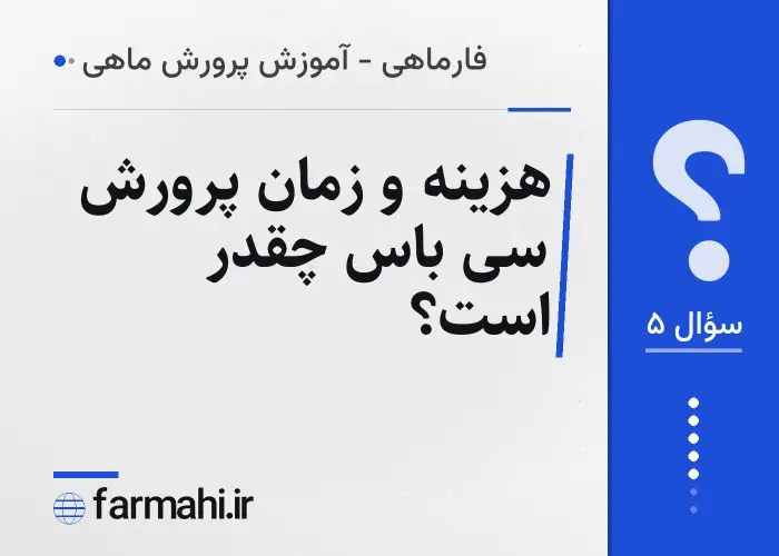 هزینه و زمان پرورش سی باس چقدر است؟