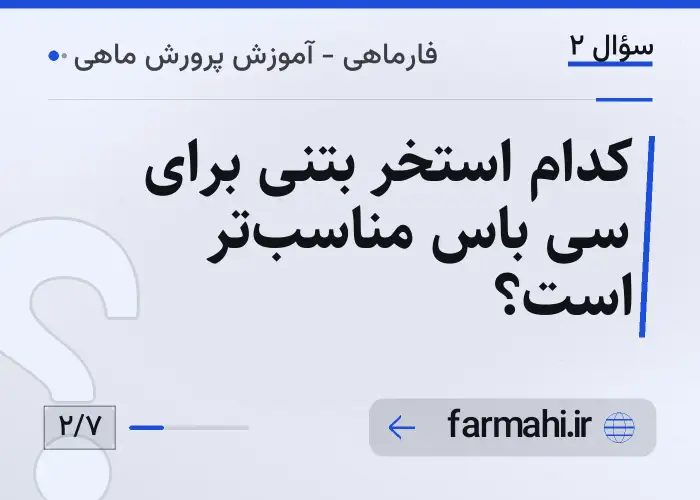 کدام استخر بتنی برای سی باس مناسب‌تر است؟