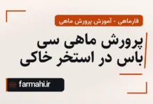 پرورش ماهی سی باس در استخر خاکی