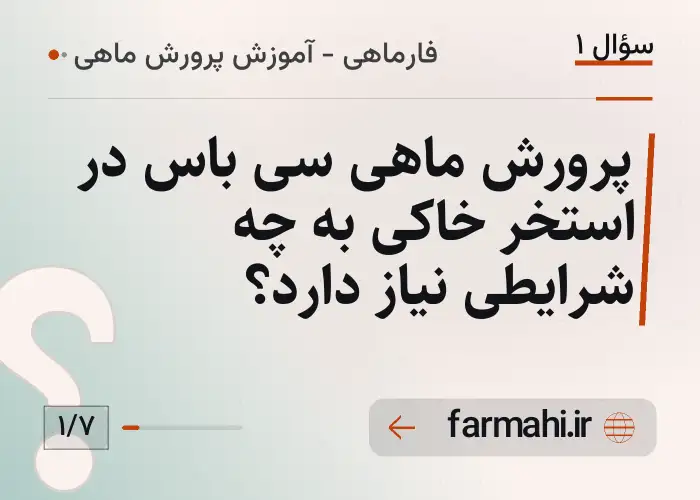 پرورش ماهی سی باس در استخر خاکی به چه شرایطی نیاز دارد؟