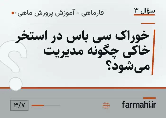 خوراک سی باس در استخر خاکی چگونه مدیریت می‌شود؟