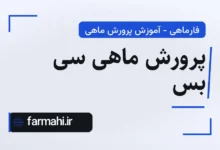 پرورش ماهی سی بس