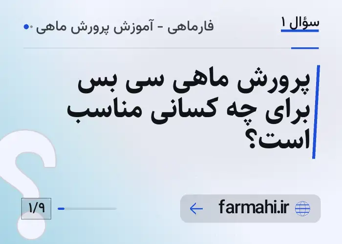 پرورش ماهی سی بس برای چه کسانی مناسب است؟