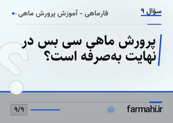 پرورش ماهی سی بس در نهایت به‌صرفه است؟