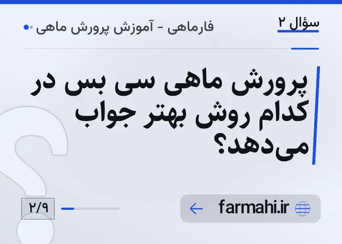 پرورش ماهی سی بس در کدام روش بهتر جواب می‌دهد؟