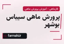 پرورش ماهی سیباس بوشهر