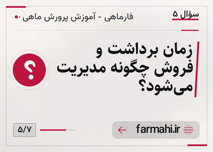 زمان برداشت و فروش چگونه مدیریت می‌شود؟