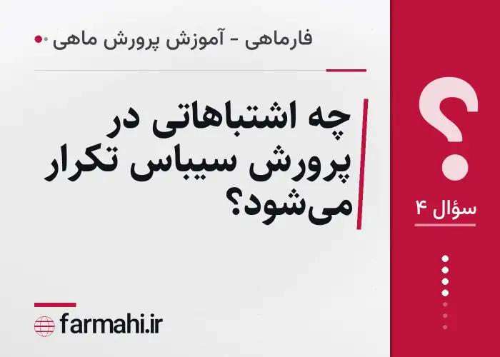 چه اشتباهاتی در پرورش سیباس تکرار می‌شود؟