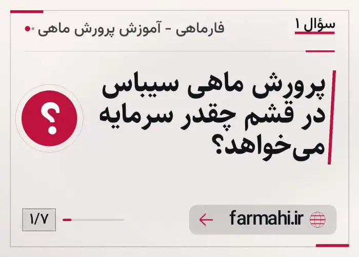 پرورش ماهی سیباس در قشم چقدر سرمایه می‌خواهد؟
