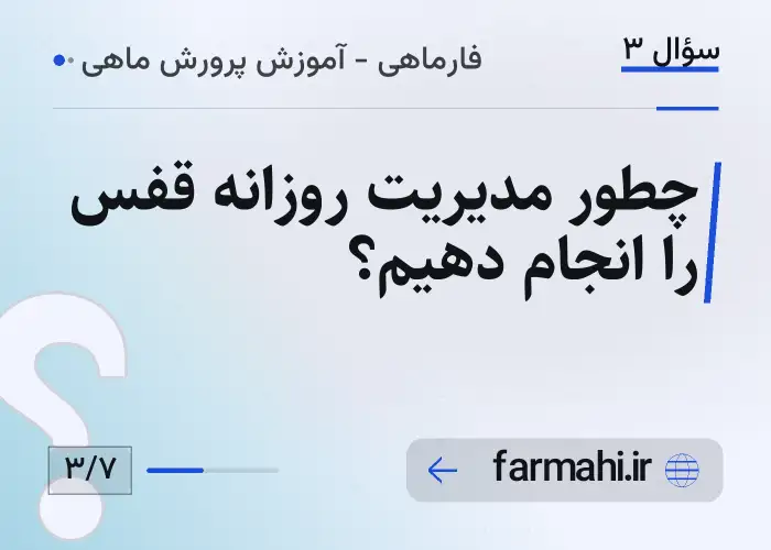 چطور مدیریت روزانه قفس را انجام دهیم؟