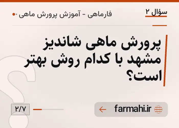 پرورش ماهی شاندیز مشهد با کدام روش بهتر است؟