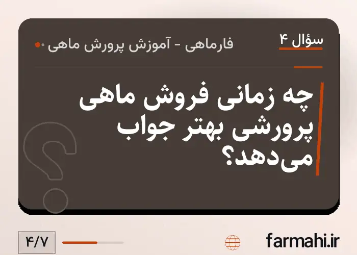 چه زمانی فروش ماهی پرورشی بهتر جواب می‌دهد؟