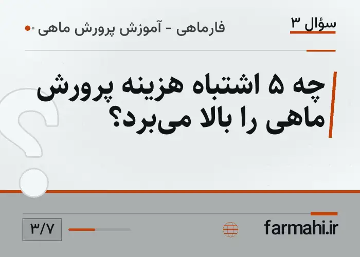 چه ۵ اشتباه هزینه پرورش ماهی را بالا می‌برد؟
