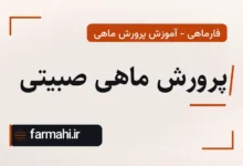 پرورش ماهی صبیتی