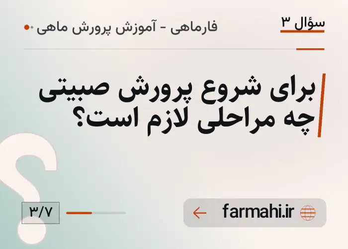 برای شروع پرورش صبیتی چه مراحلی لازم است؟