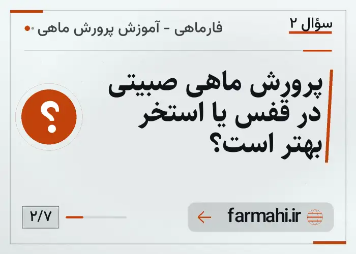 پرورش ماهی صبیتی در قفس یا استخر بهتر است؟