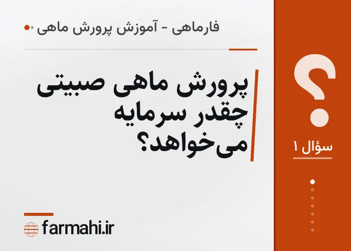 پرورش ماهی صبیتی چقدر سرمایه می‌خواهد؟