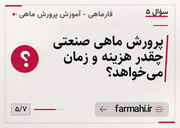 پرورش ماهی صنعتی چقدر هزینه و زمان می‌خواهد؟