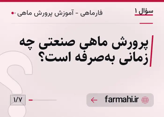 پرورش ماهی صنعتی چه زمانی به‌صرفه است؟