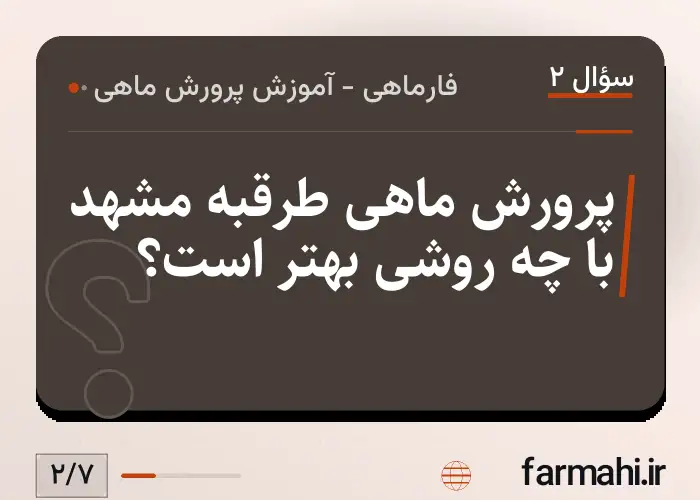 پرورش ماهی طرقبه مشهد با چه روشی بهتر است؟
