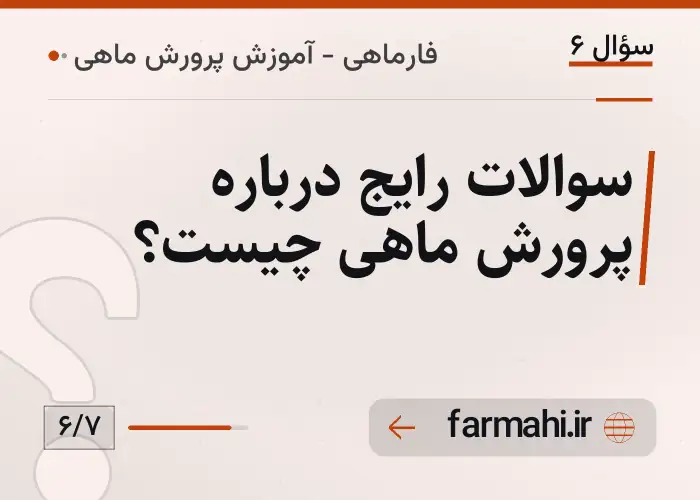 سوالات رایج درباره پرورش ماهی چیست؟