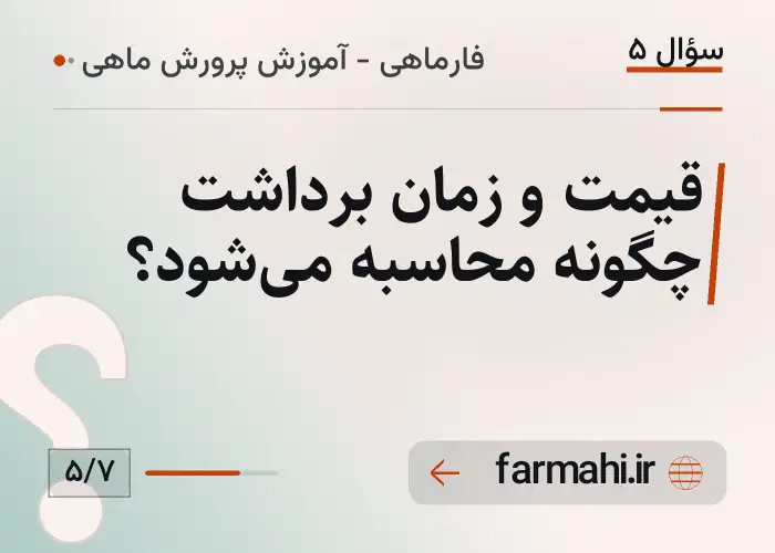 قیمت و زمان برداشت چگونه محاسبه می‌شود؟